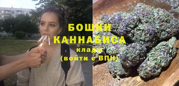 PSILOCYBIN Пересвет