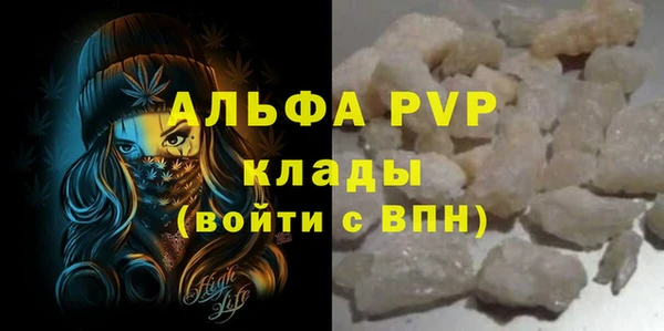 PSILOCYBIN Пересвет