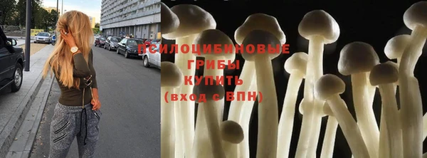 PSILOCYBIN Пересвет