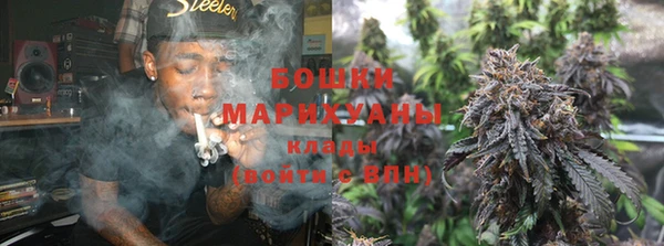PSILOCYBIN Пересвет